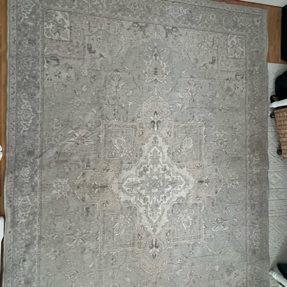 Elegant Gray Area Rug